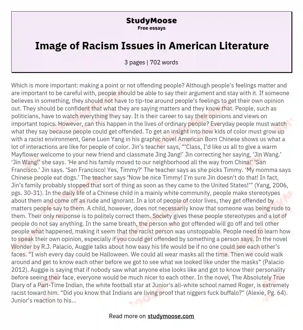 Image of Racism Issues in American Literature essay