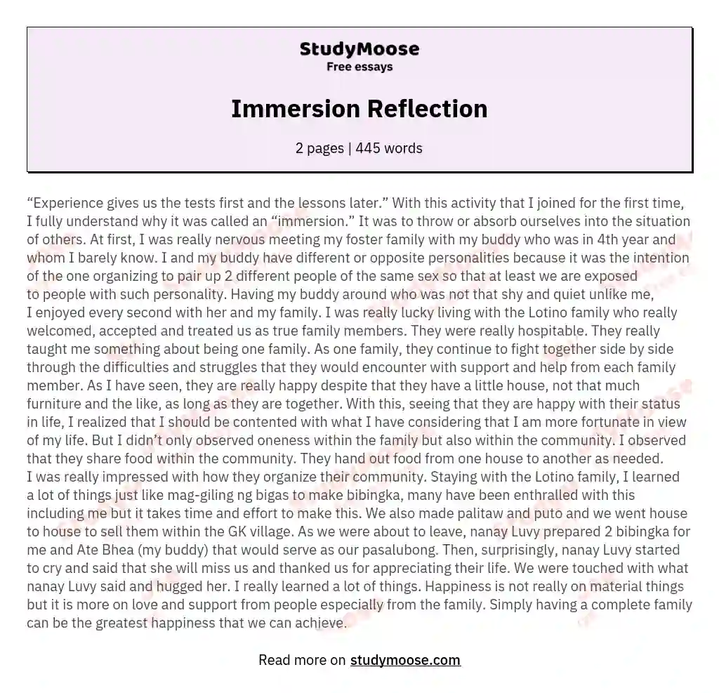 Immersion Reflection essay