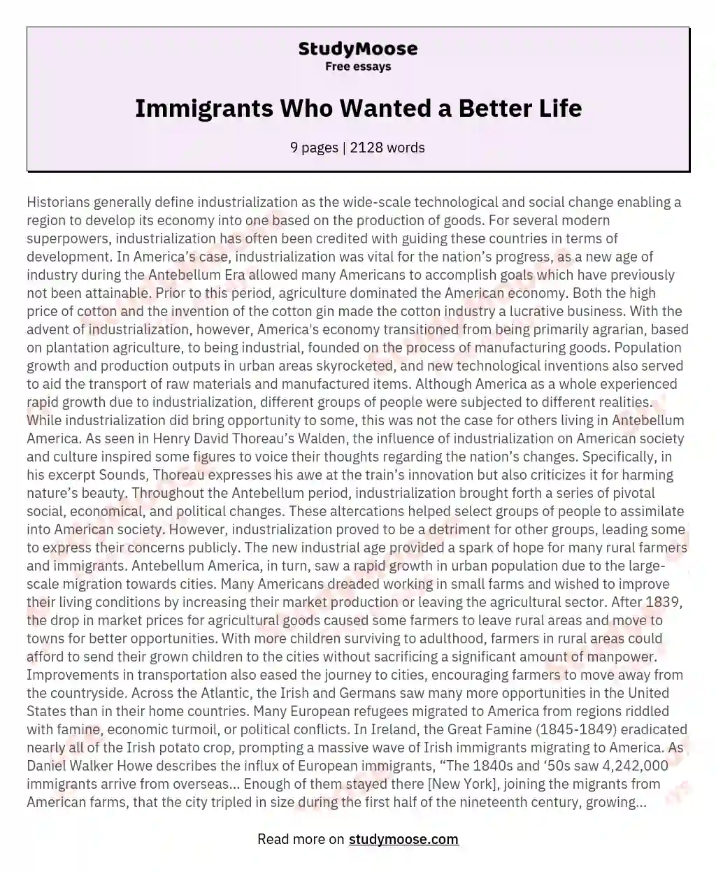 Immigrants Who Wanted a Better Life essay