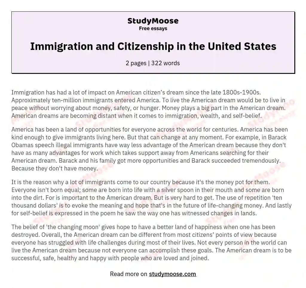 Immigration and Citizenship in the United States essay