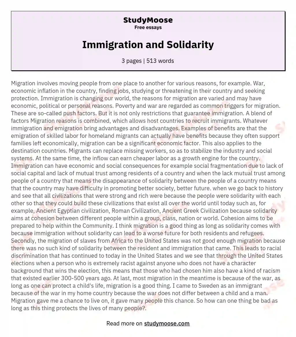 Immigration and Solidarity essay