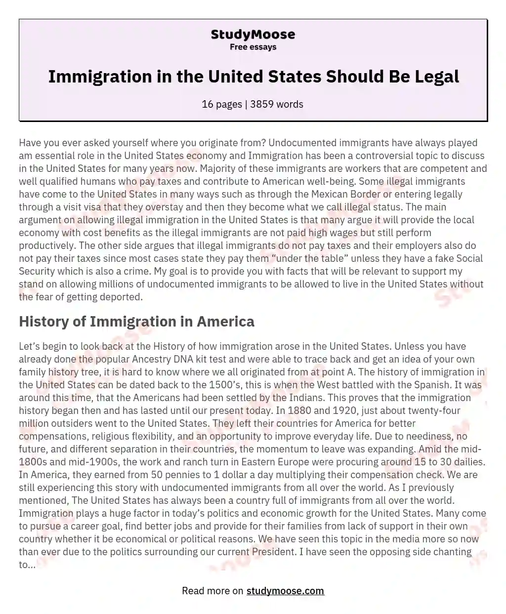 Immigration in the United States Should Be Legal essay