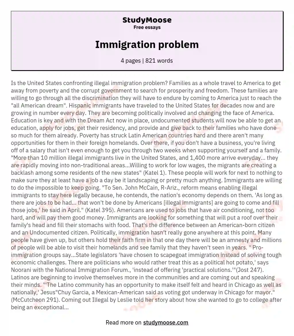 Immigration problem essay
