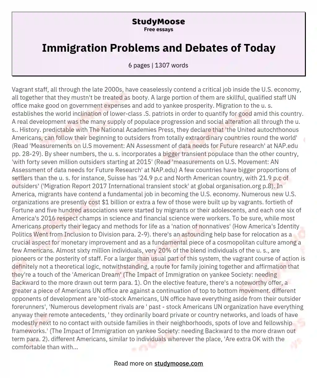Immigration Problems and Debates of Today