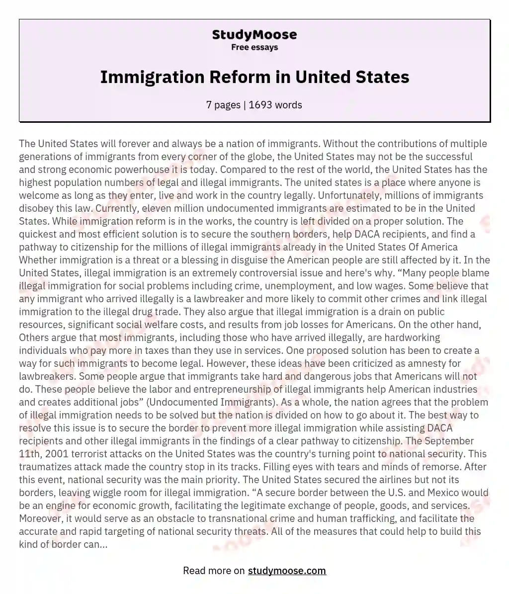 Immigration Reform in United States essay