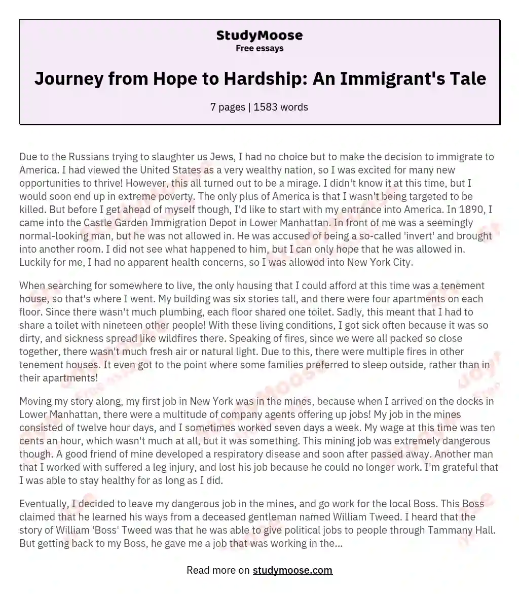 Journey from Hope to Hardship: An Immigrant's Tale essay