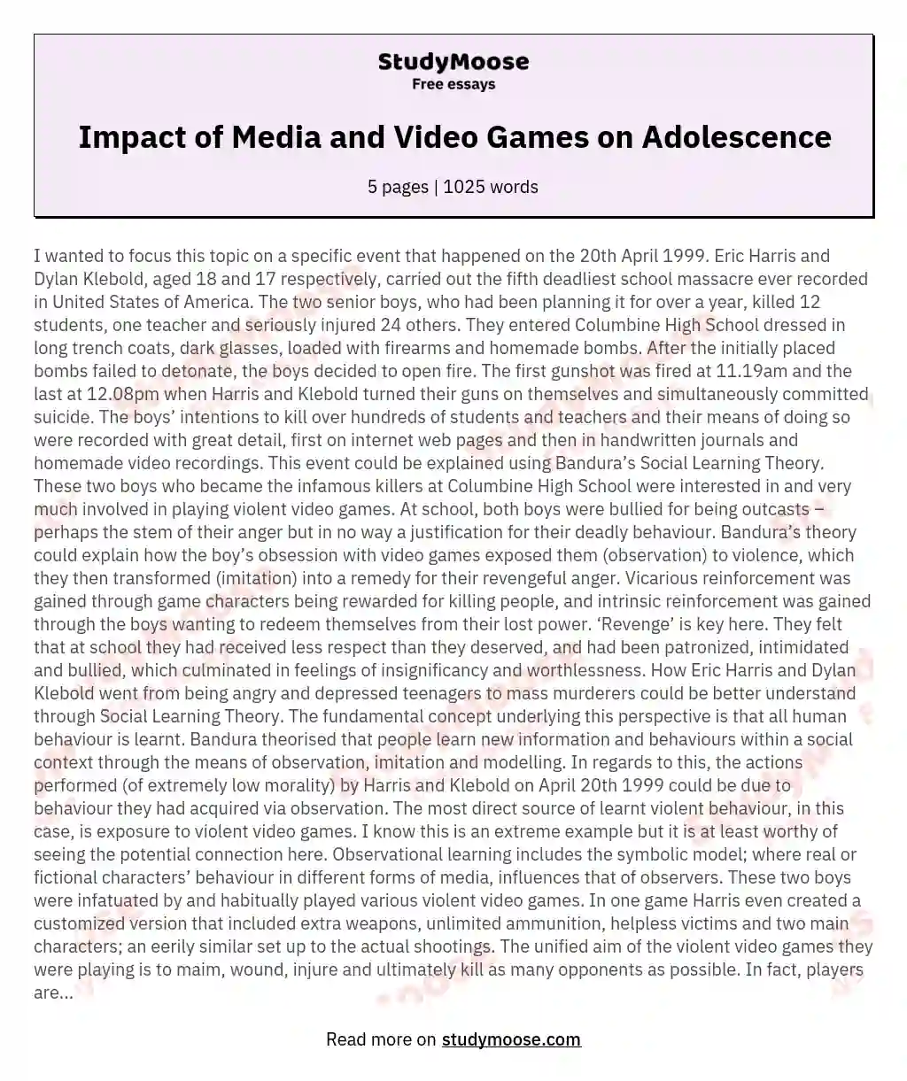 Impact of Media and Video Games on Adolescence essay