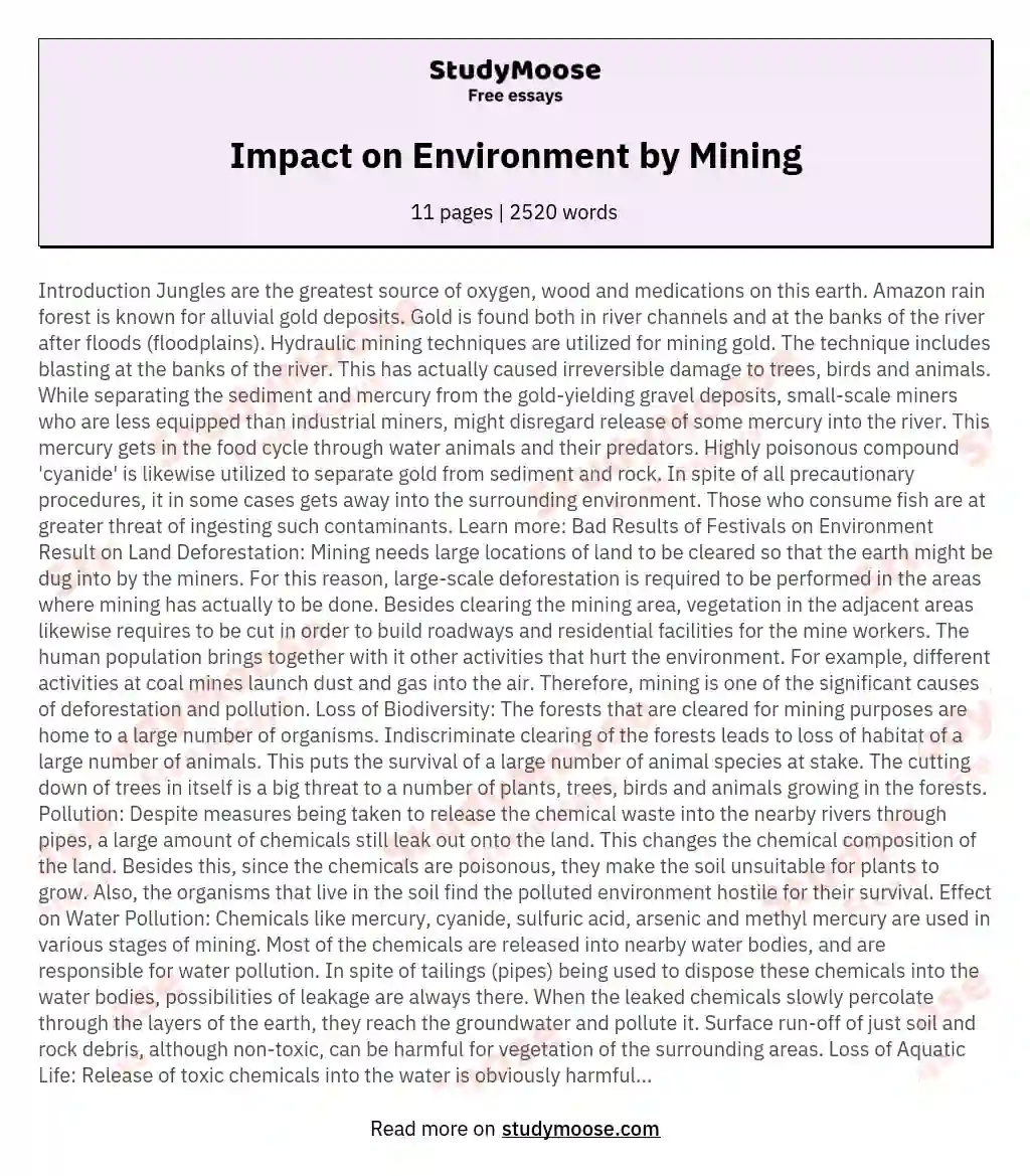 Impact on Environment by Mining essay