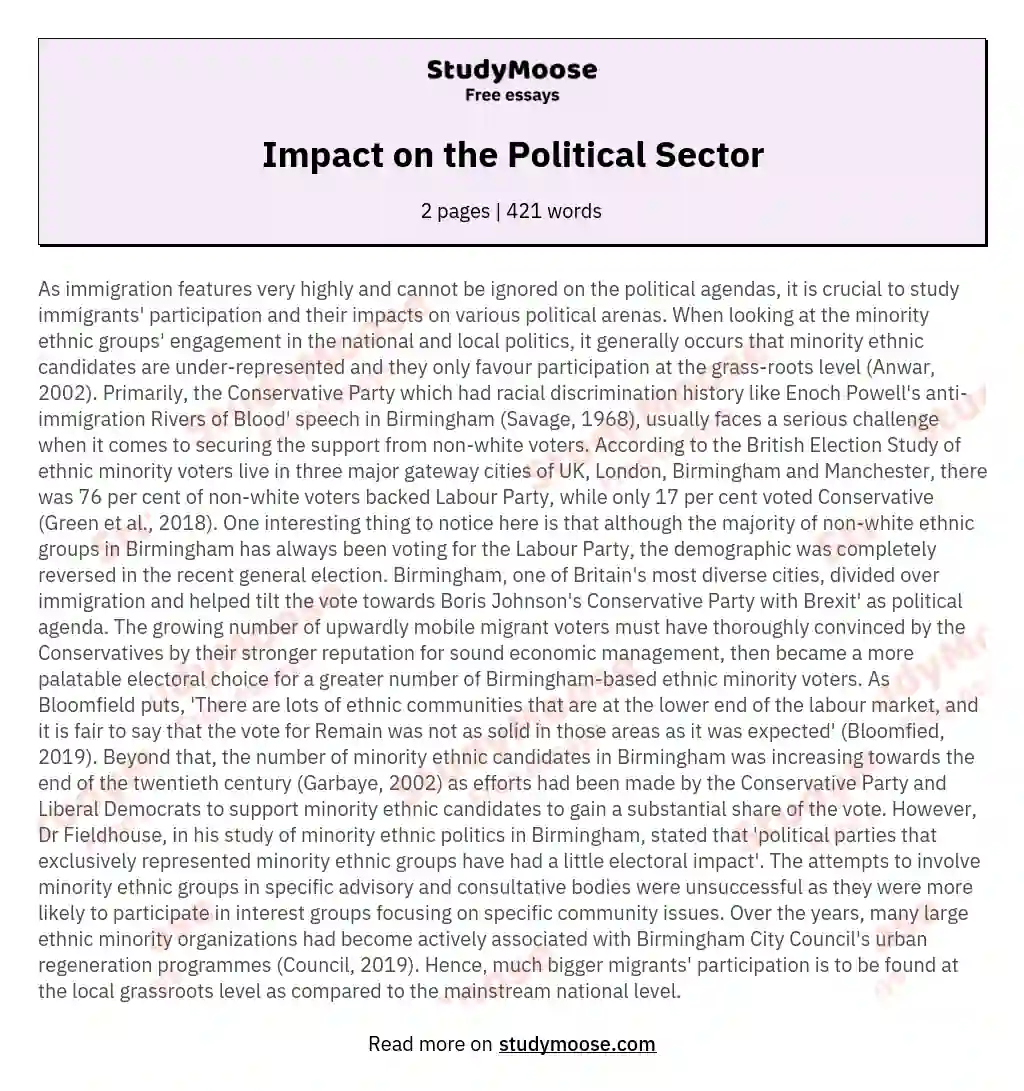 Impact on the Political Sector essay