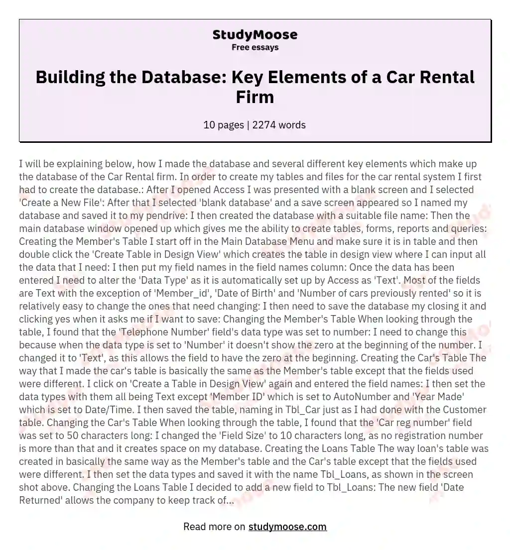 Building the Database: Key Elements of a Car Rental Firm essay