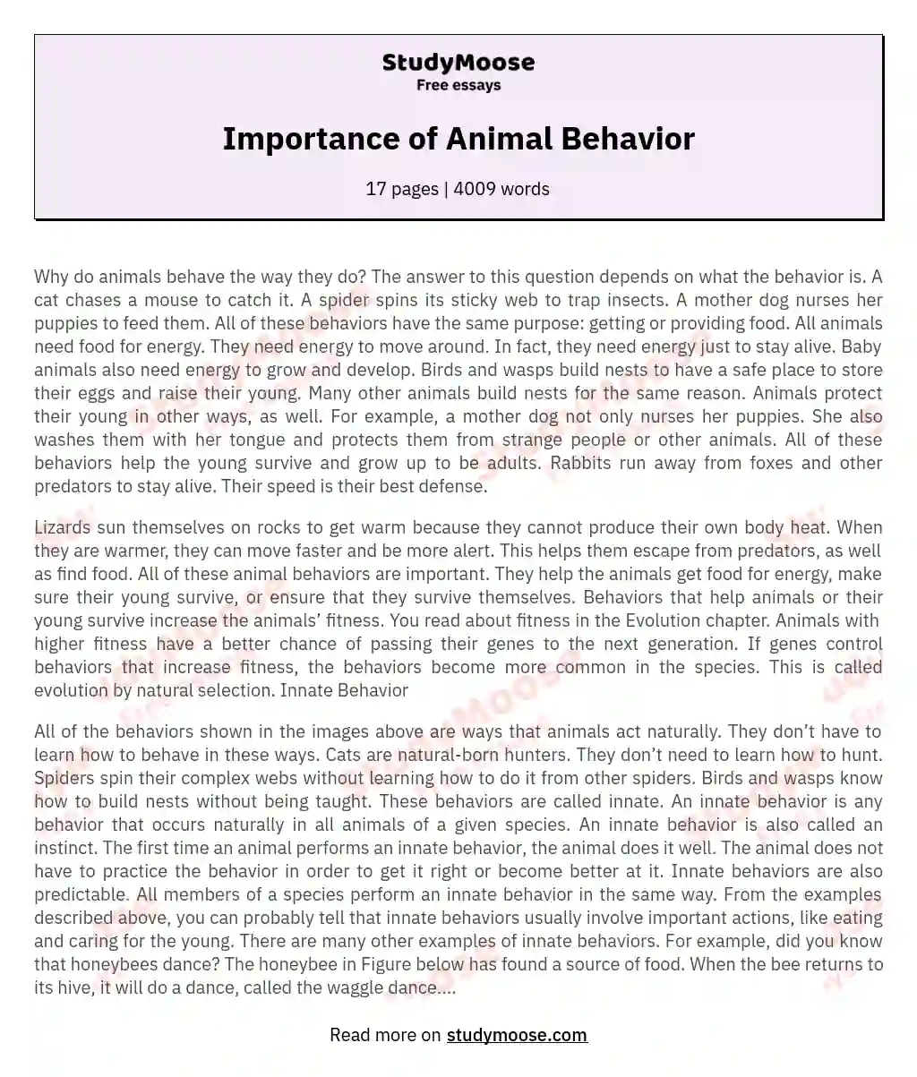 Importance of Animal Behavior essay
