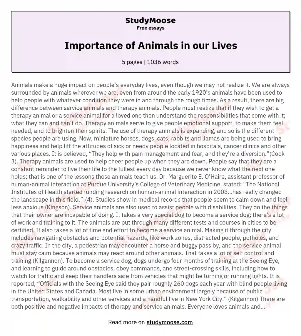 Importance of Animals in our Lives Free Essay Example