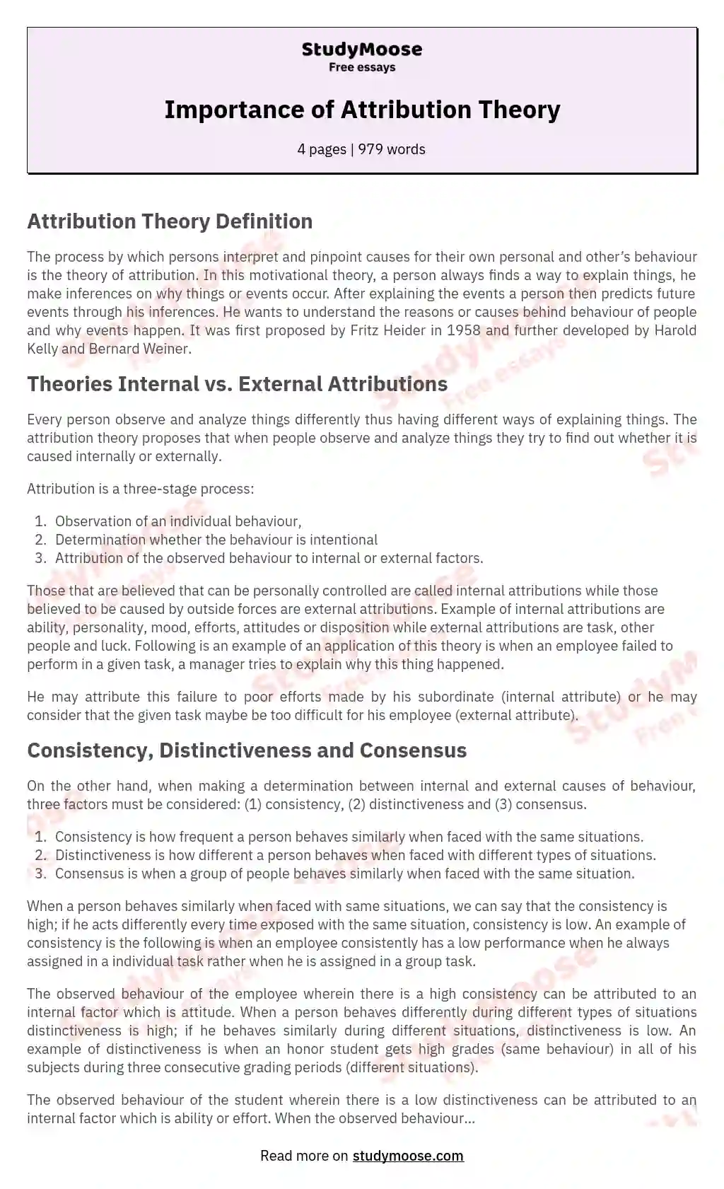 Importance of Attribution Theory essay