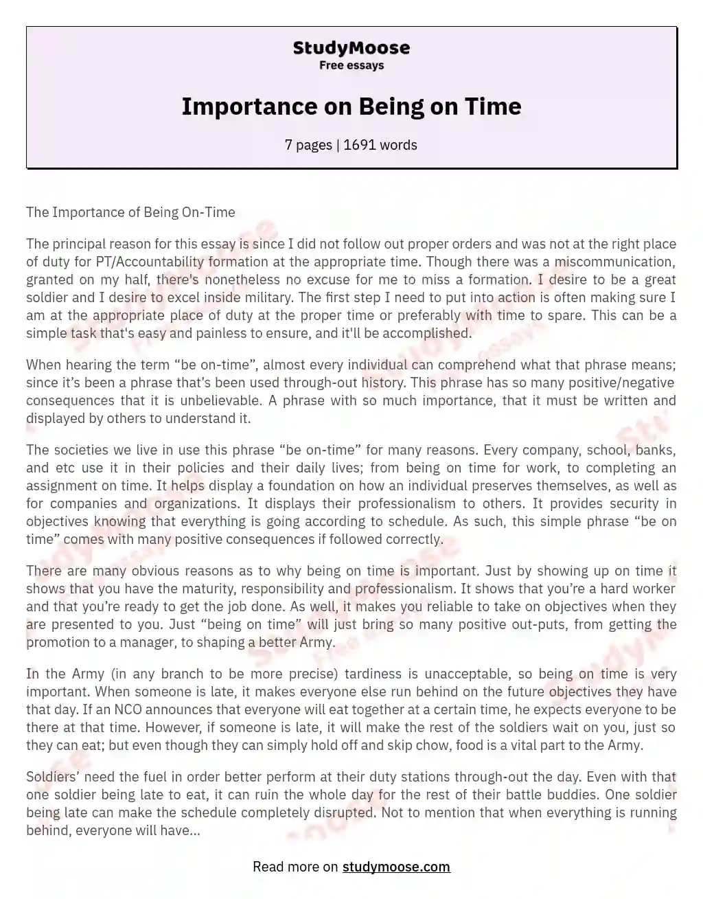 Importance on Being on Time essay