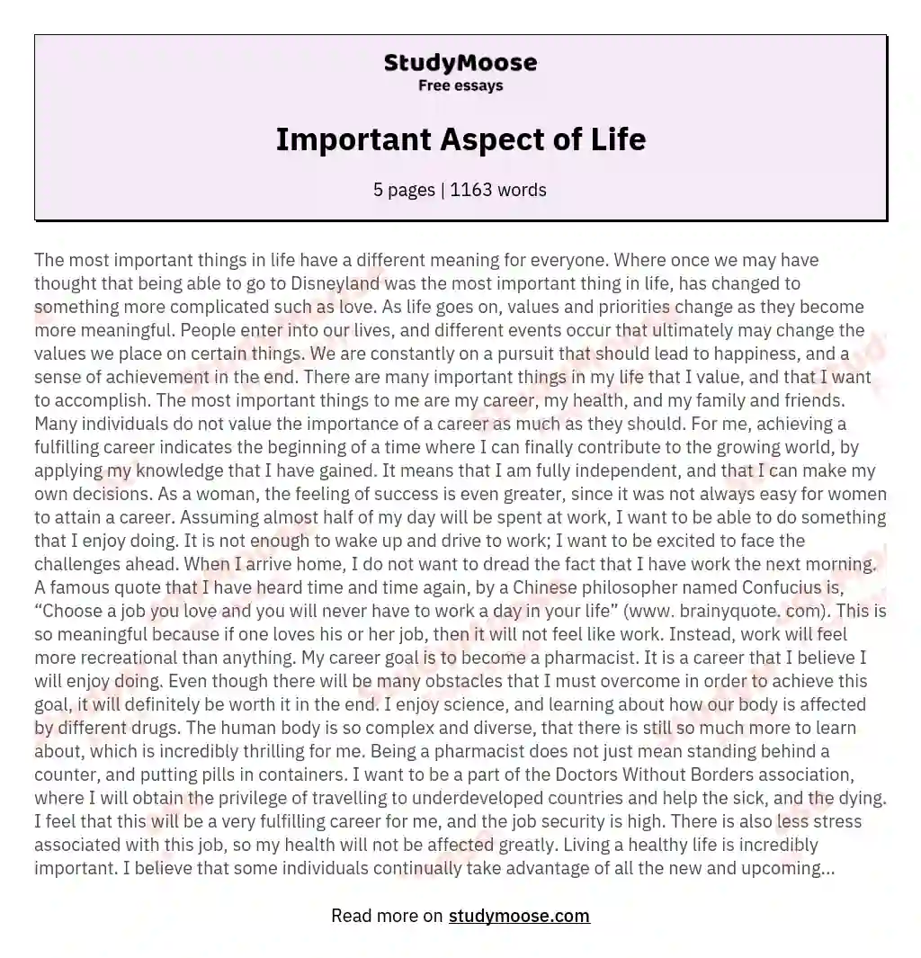 the most important things in life essay