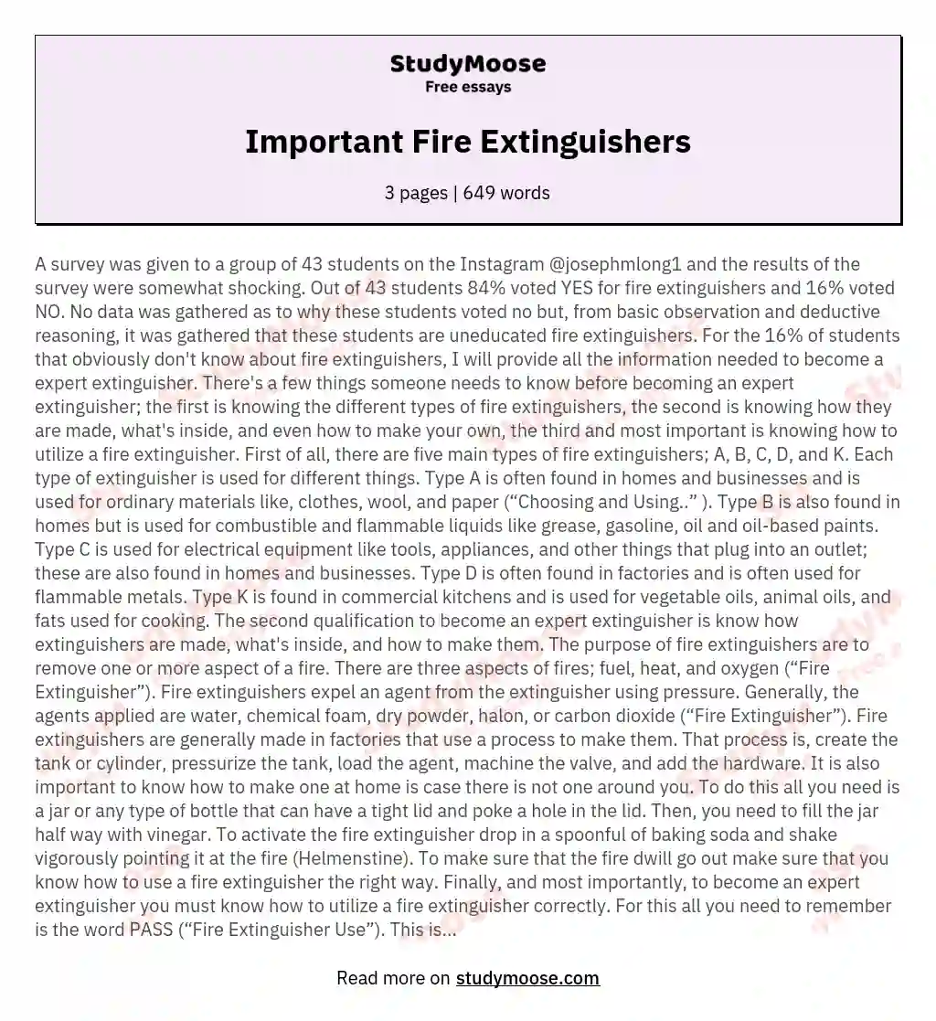 Important Fire Extinguishers essay