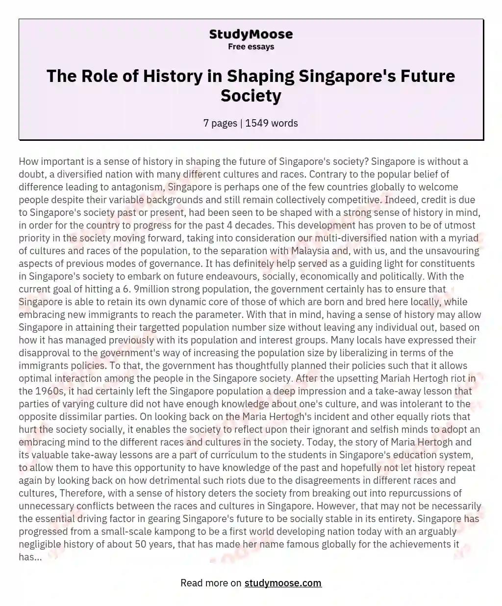 The Role of History in Shaping Singapore's Future Society essay