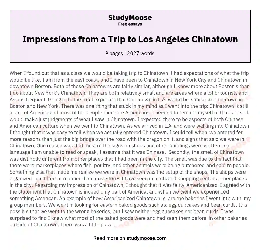 Impressions from a Trip to Los Angeles Chinatown essay