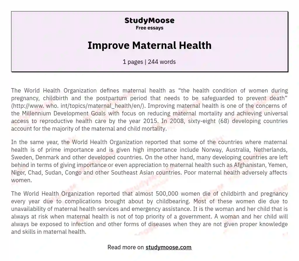 Improve Maternal Health essay