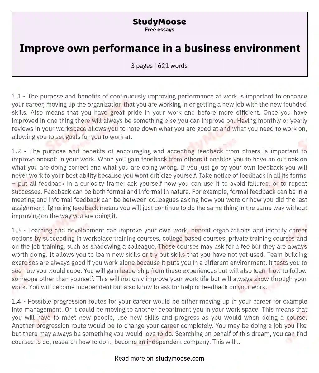 Improve own performance in a business environment essay