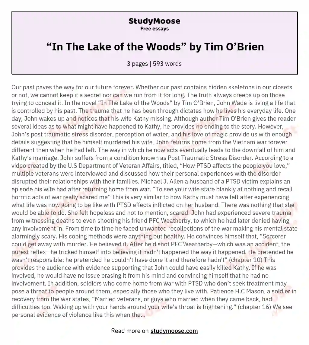 “In The Lake of the Woods” by Tim O’Brien essay