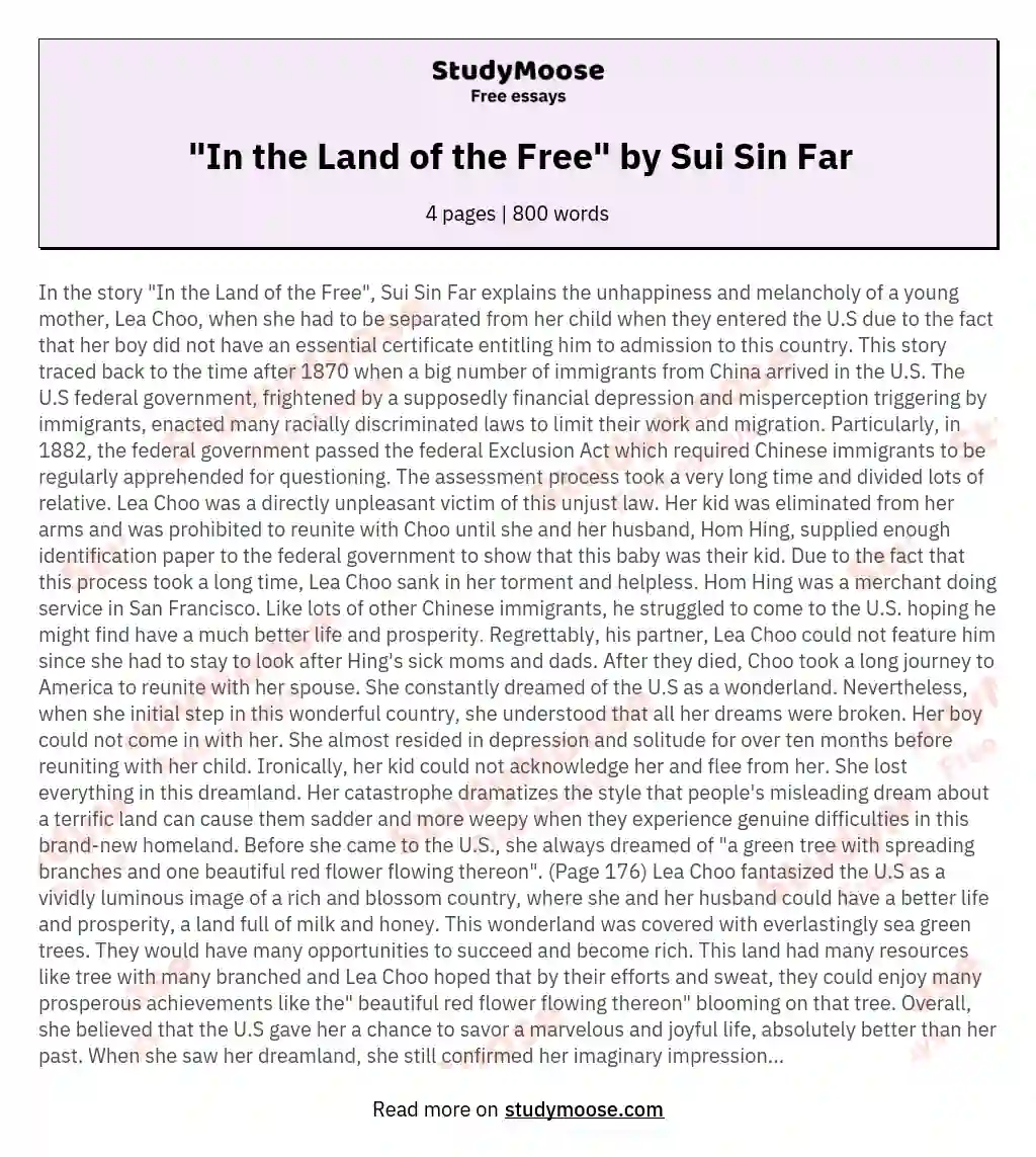 "In the Land of the Free" by Sui Sin Far essay