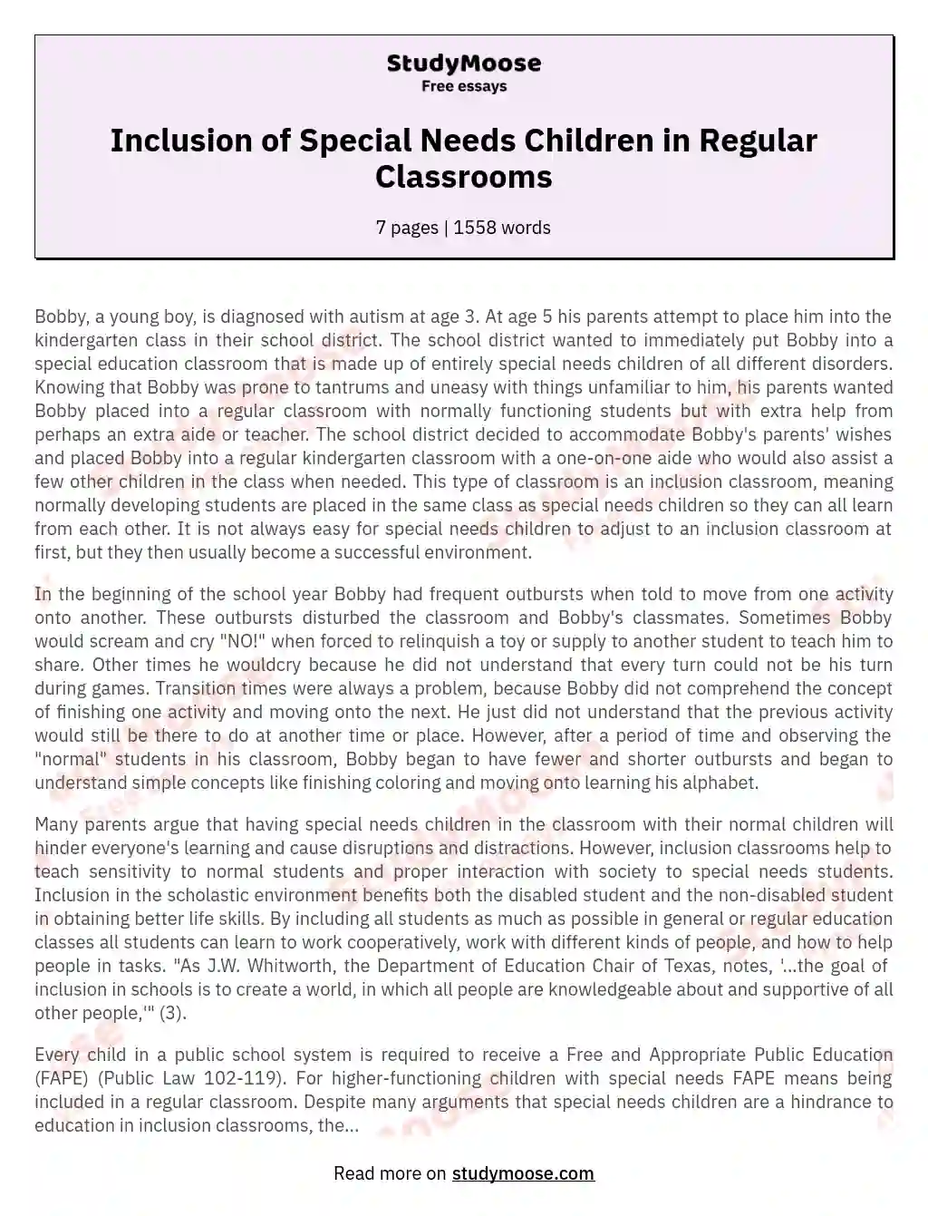 Inclusion of Special Needs Children in Regular Classrooms essay