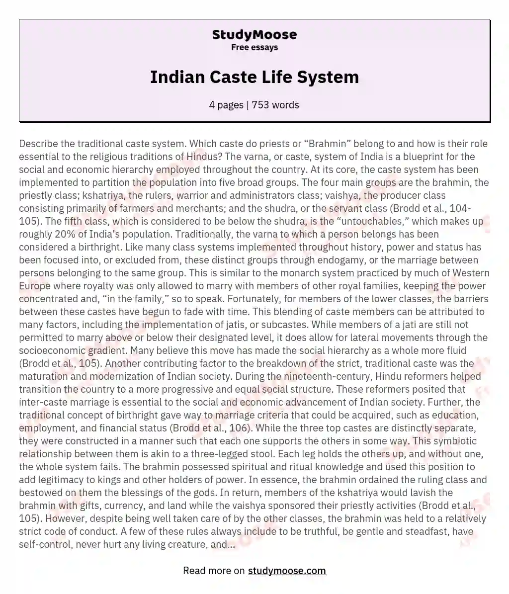 Indian Caste Life System essay