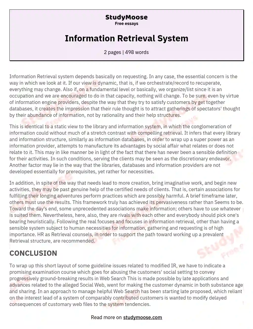 Information Retrieval System essay