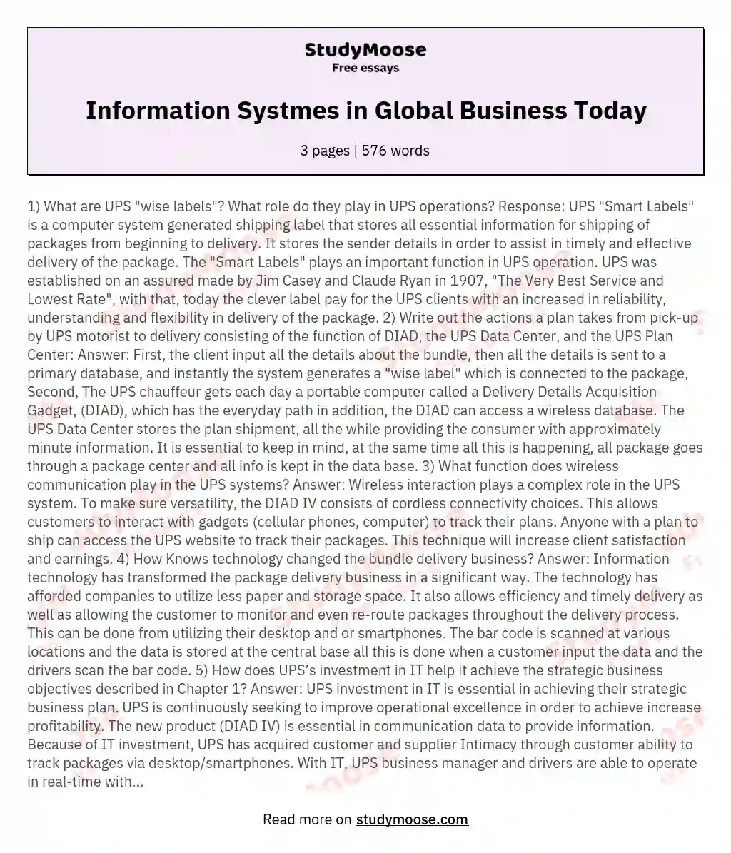 Information Systmes in Global Business Today essay