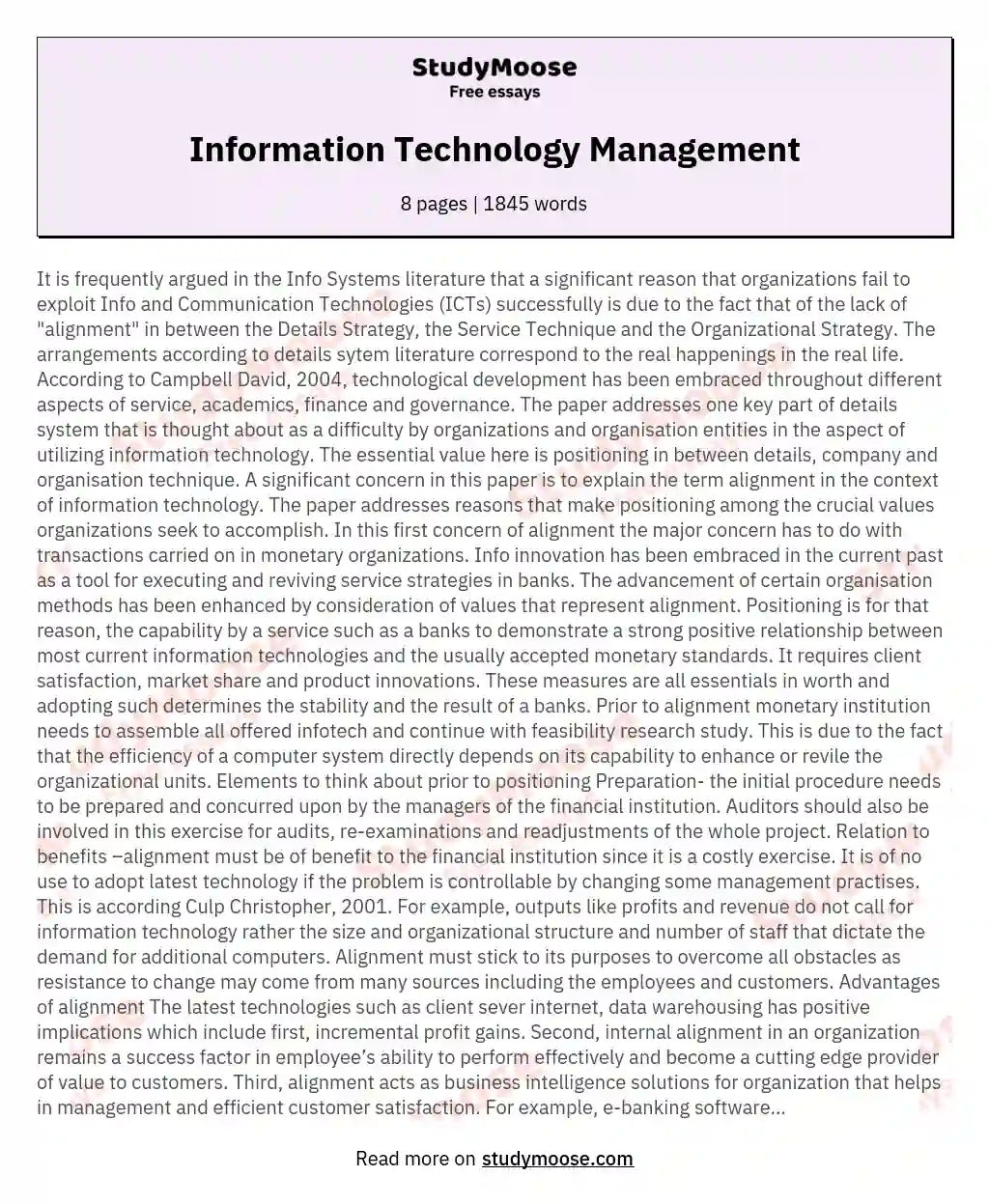 Information Technology Management essay