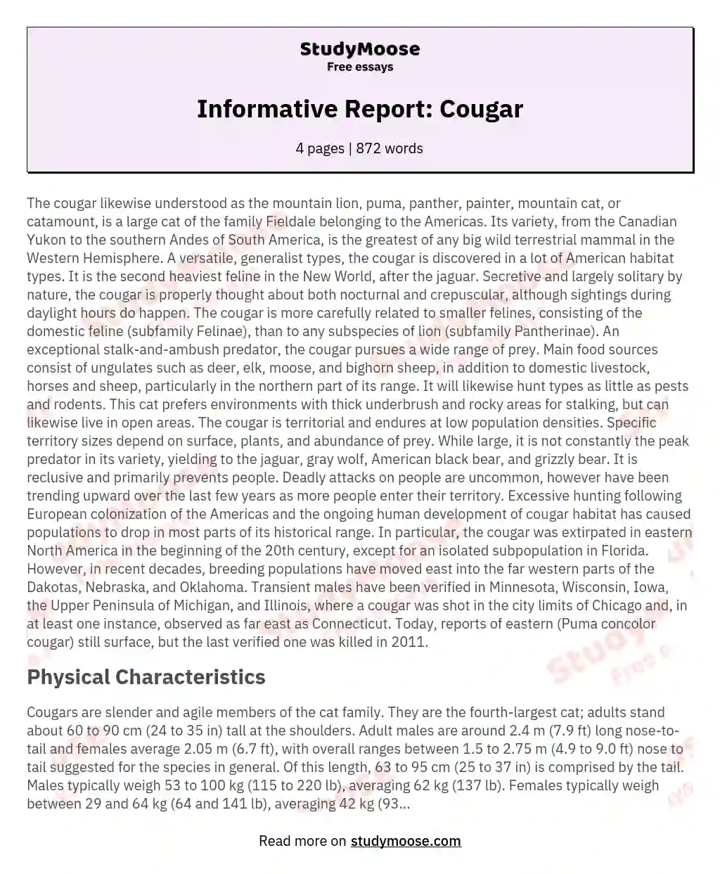Informative Report: Cougar essay