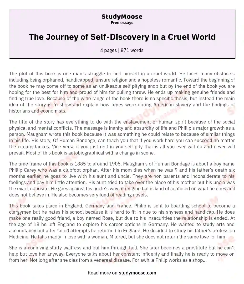 The Journey of Self-Discovery in a Cruel World essay
