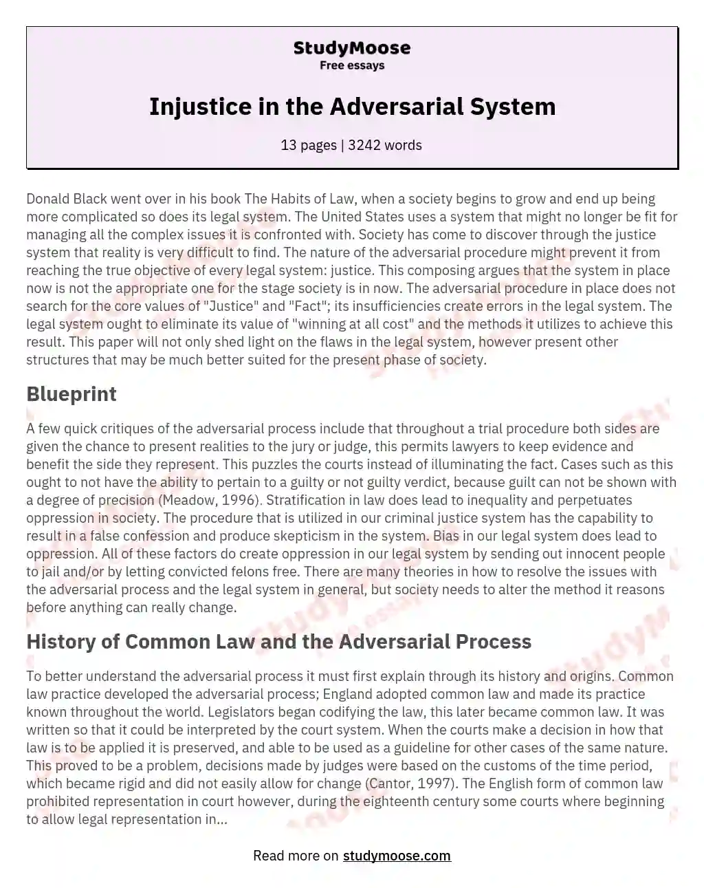 Injustice in the Adversarial System essay