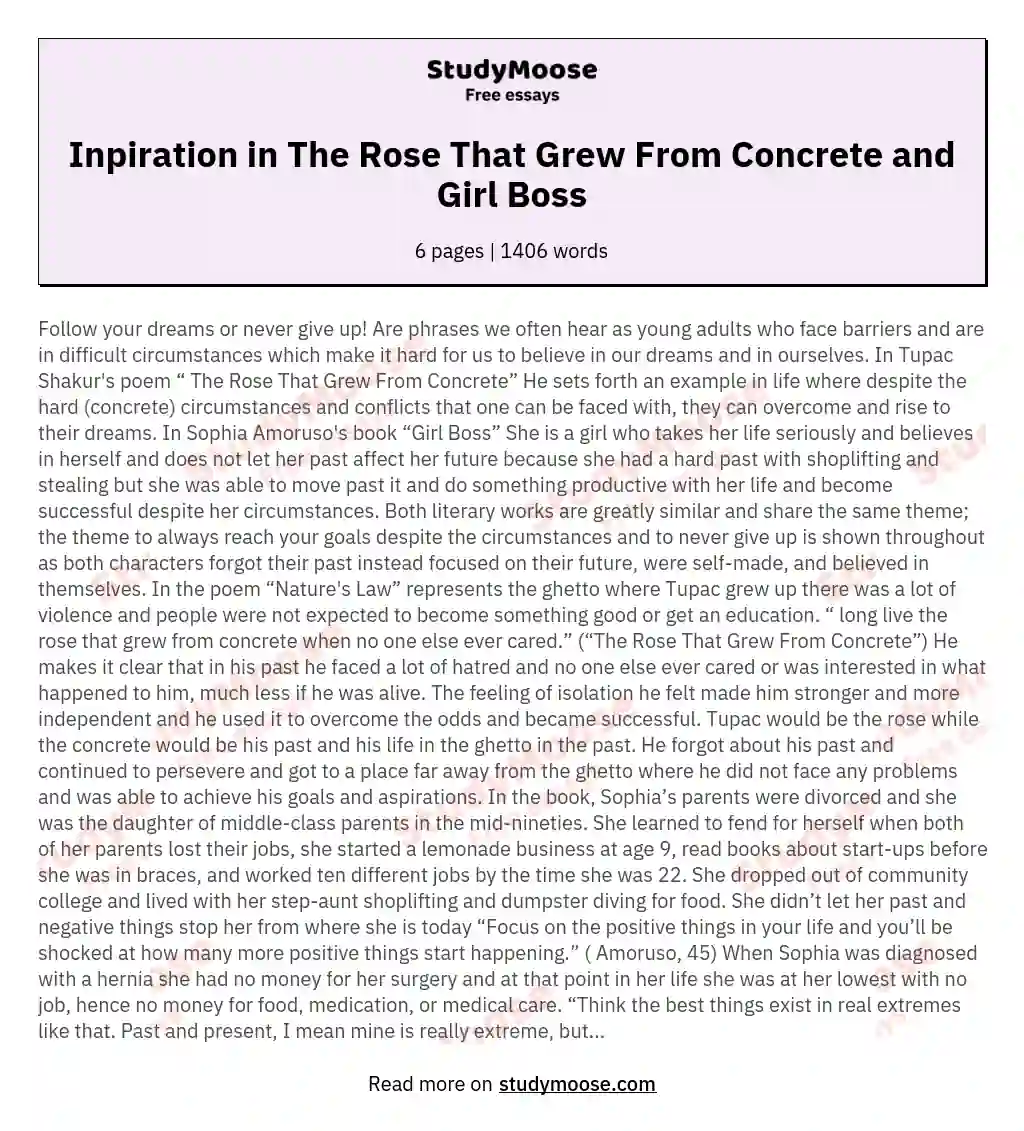 Inpiration in The Rose That Grew From Concrete and Girl Boss essay