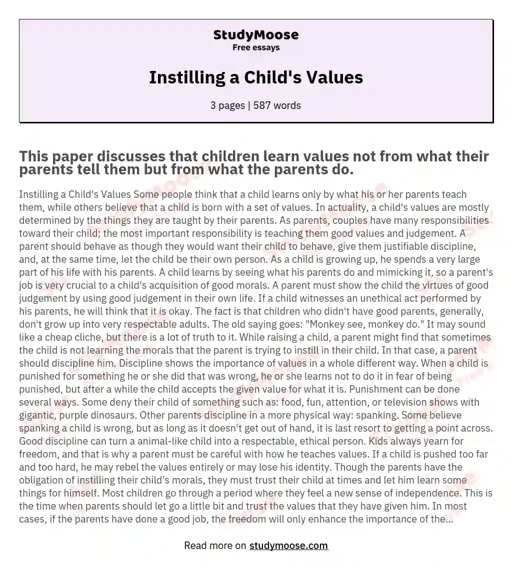 Instilling a Child's Values essay