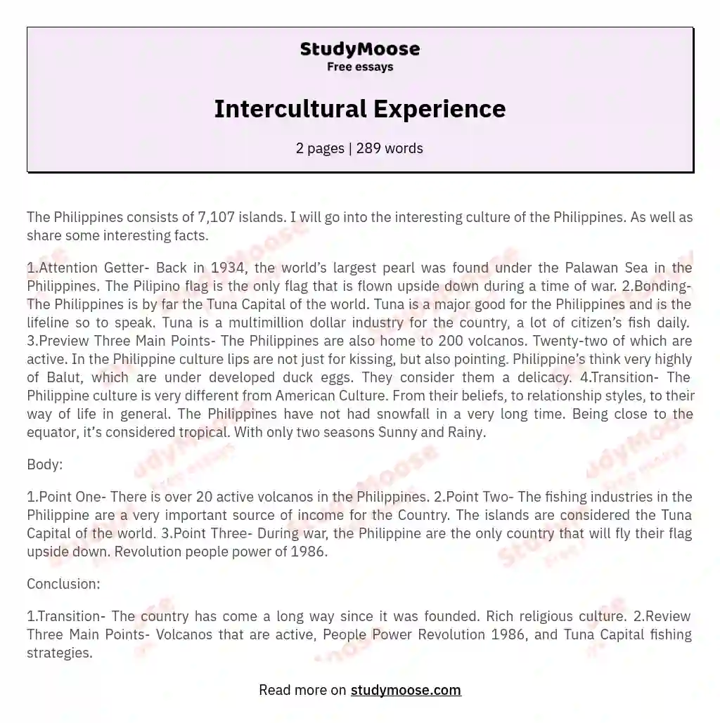 Intercultural Experience essay