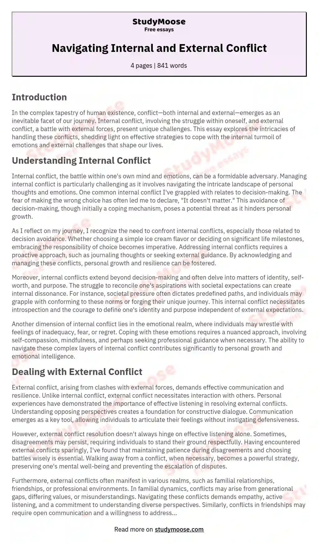 Navigating Internal and External Conflict essay