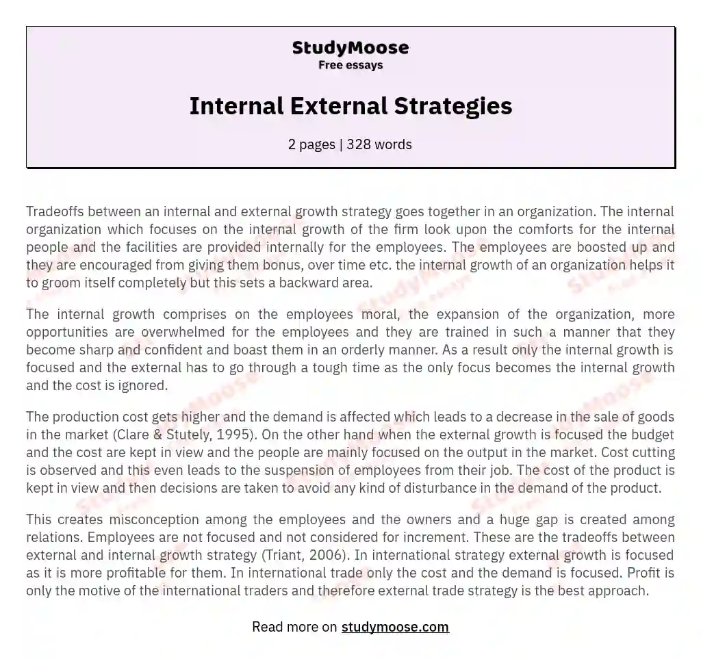 Internal External Strategies essay