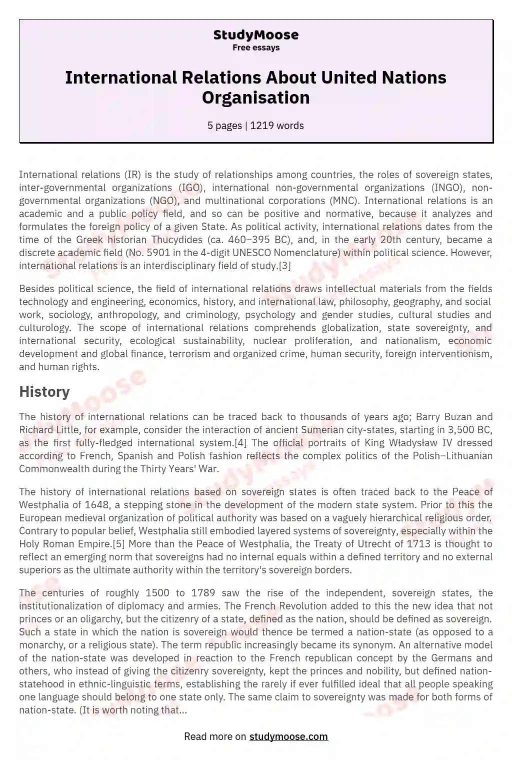 International Relations About United Nations Organisation essay