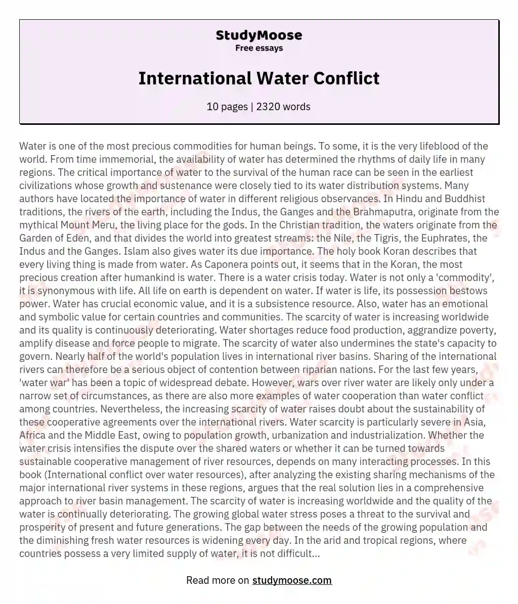 International Water Conflict essay