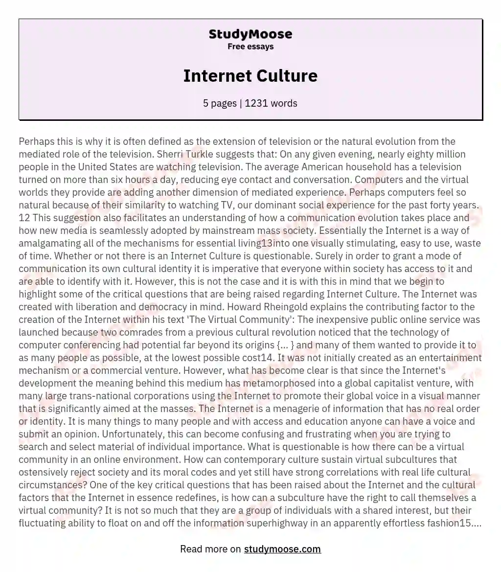 internet opinion essay