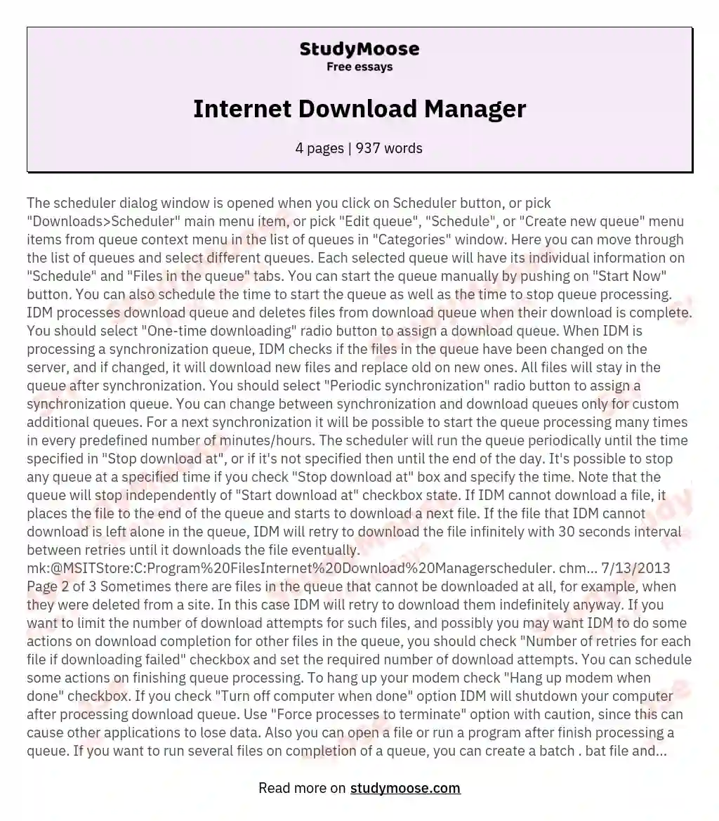 Internet Download Manager essay