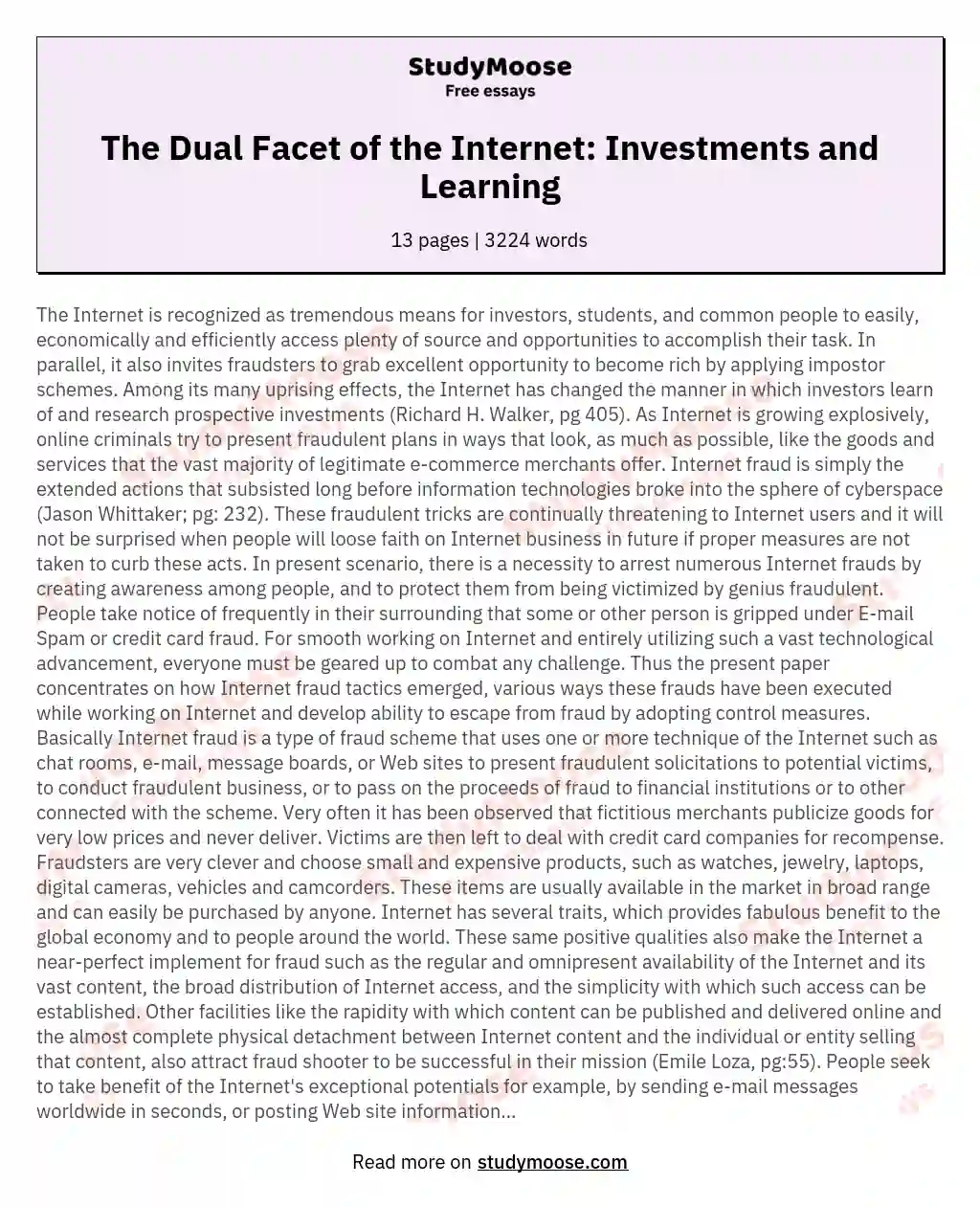 The Dual Facet of the Internet: Investments and Learning essay