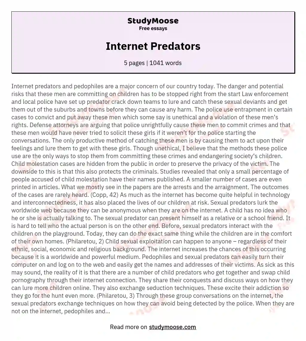 Internet Predators essay