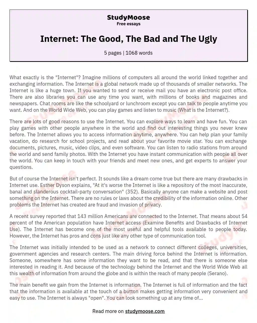 Internet: The Good, The Bad and The Ugly essay