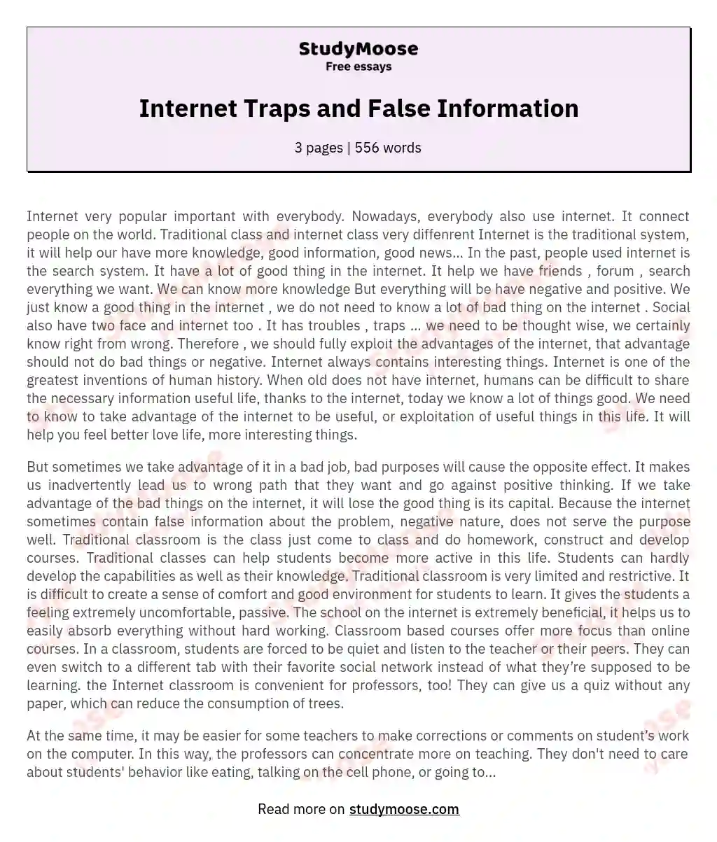 Internet Traps and False Information essay