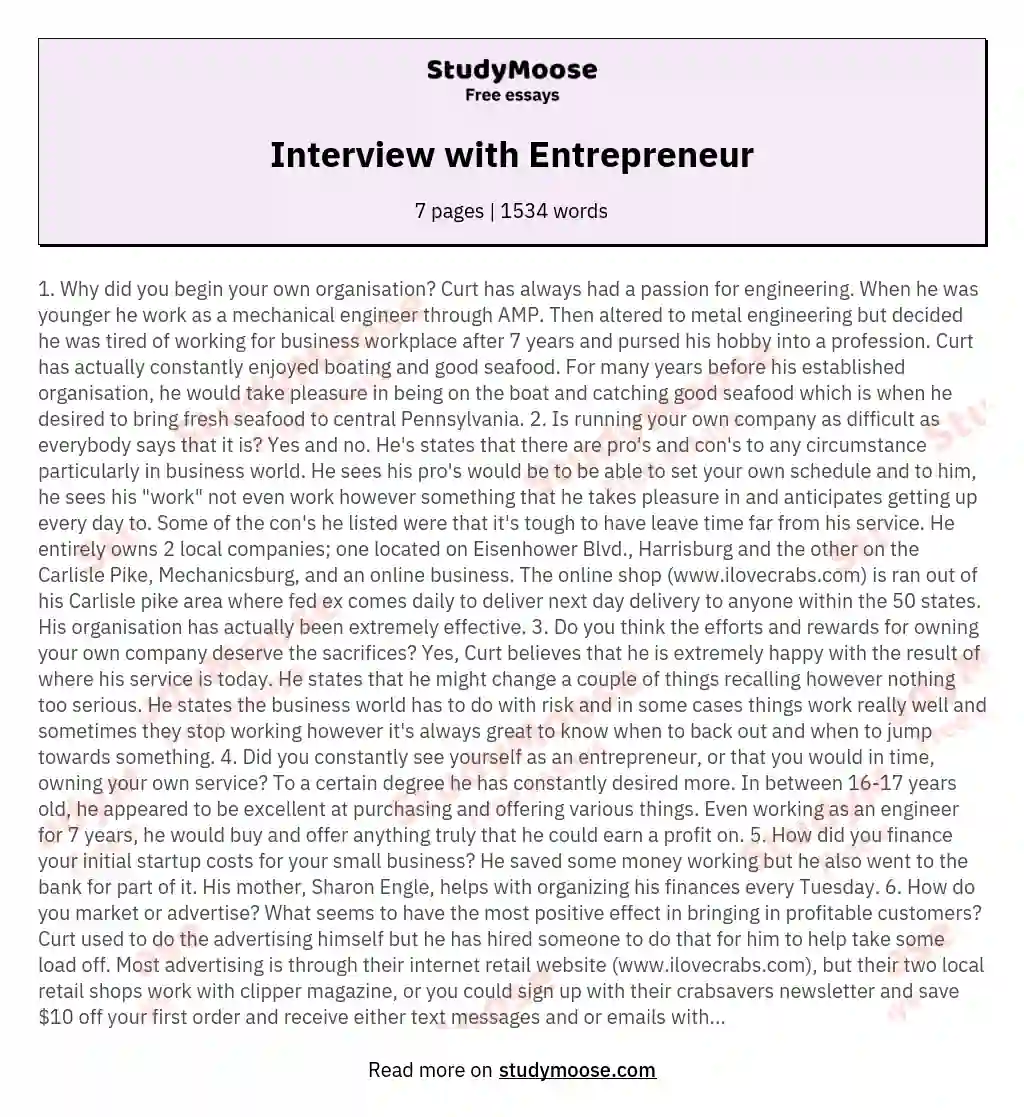Interview with Entrepreneur essay