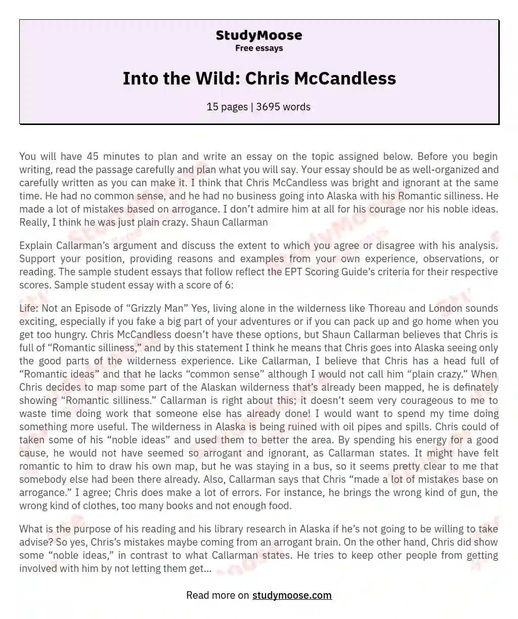 Into the Wild: Chris McCandless essay