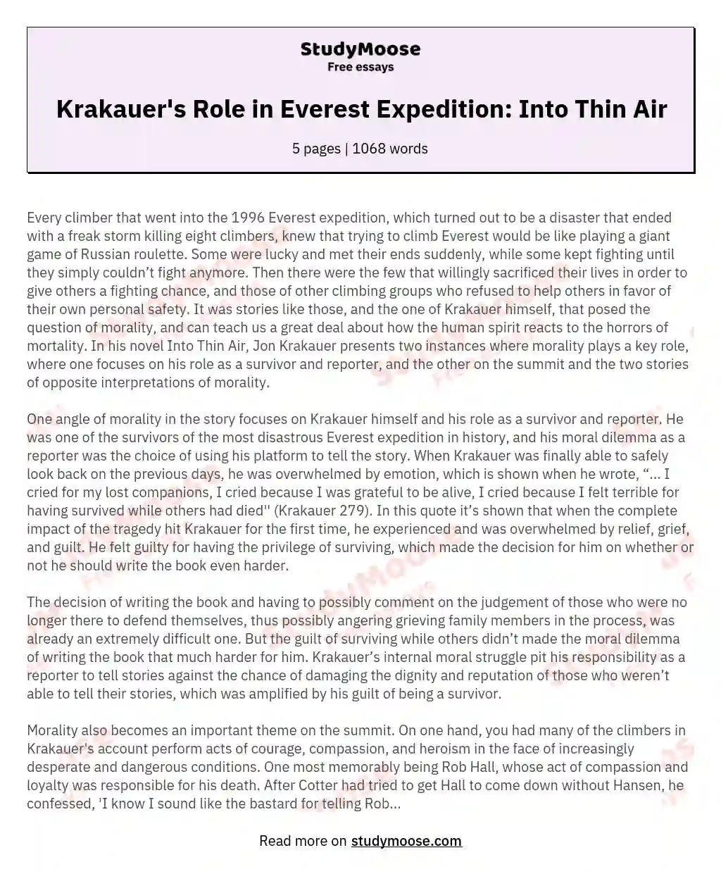 Krakauer's Role in Everest Expedition: Into Thin Air essay